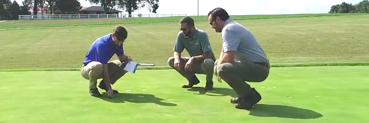 Ph.D.s soil testing